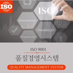 ISO 9001 + ISO 19011